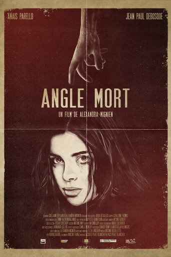 Blind Spot movie poster