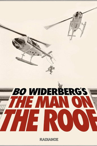 With a View to Realism: The Making of Man on the Roof movie poster