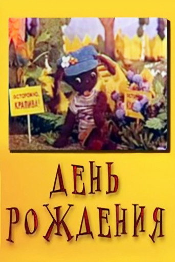 Birthday movie poster