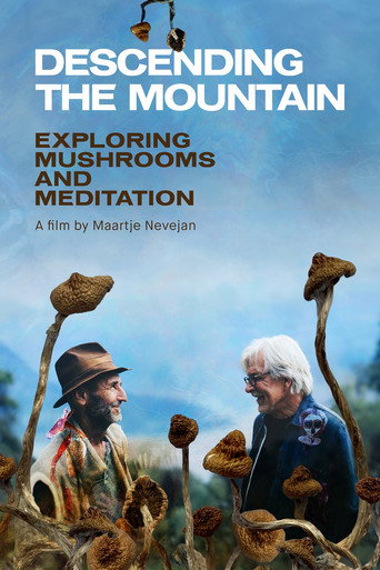 Descending the Mountain movie poster