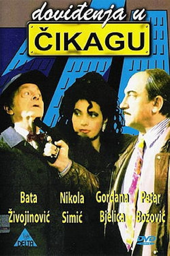 See You in Chicago movie poster