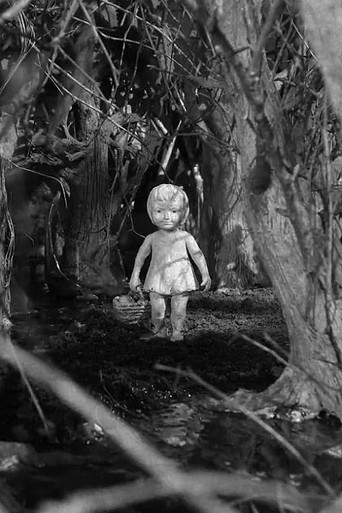 On the Other Side of the Woods movie poster