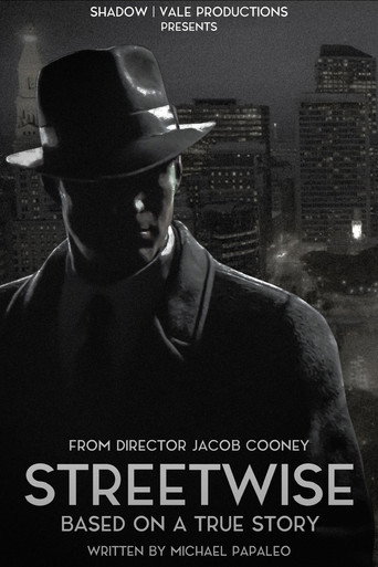 Streetwise movie poster