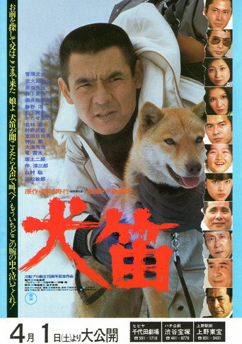 Shag movie poster
