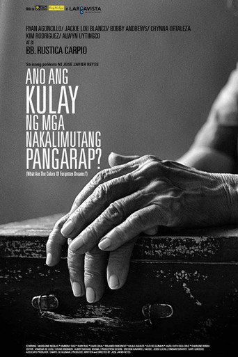 Ano ang Kulay ng mga Nakalimutang Pangarap? movie poster