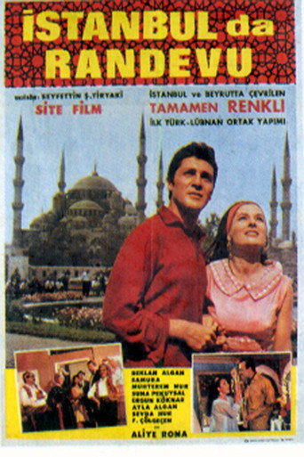 Love in Istanbul movie poster