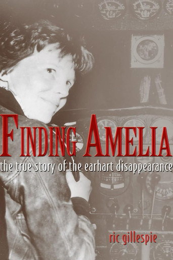 Finding Amelia movie poster