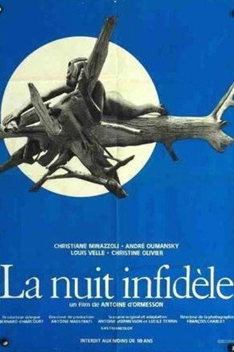 Unfaithful Night movie poster