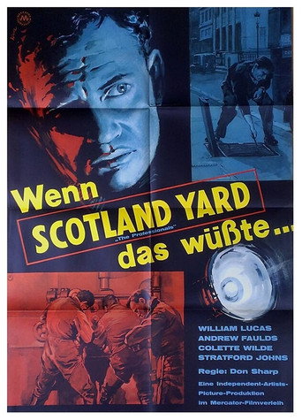 The Professionals movie poster