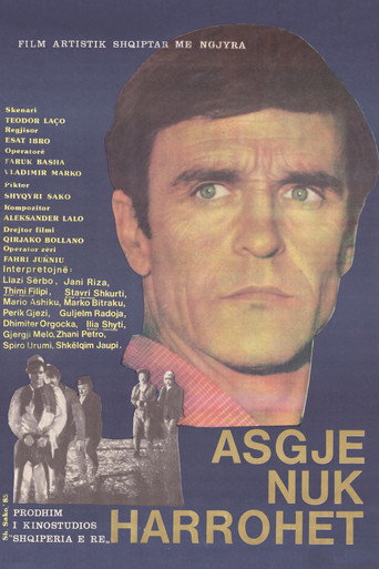 Nothing is Forgotten movie poster