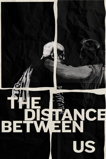 The Distance Between Us movie poster