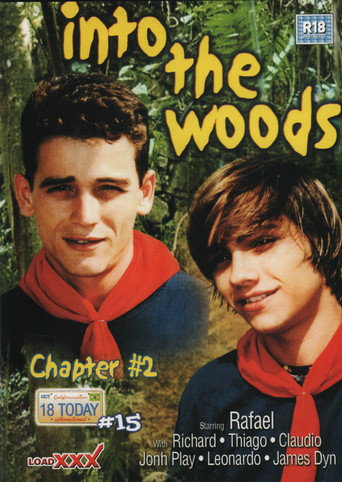 Into the Woods chapter 2 movie poster