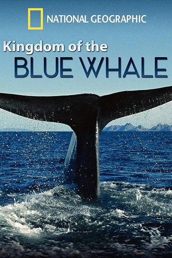 Kingdom of the Blue Whale movie poster