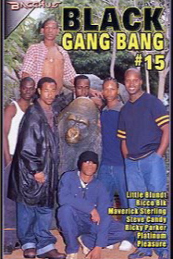 Black Gang Bang 15 movie poster