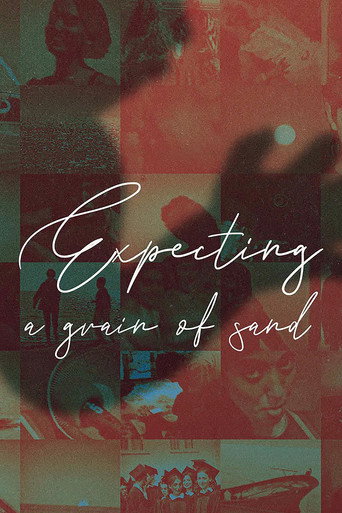 Expecting A Grain Of Sand movie poster