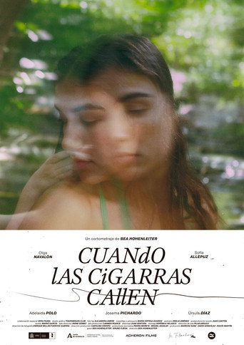 When the cicades fall silent movie poster