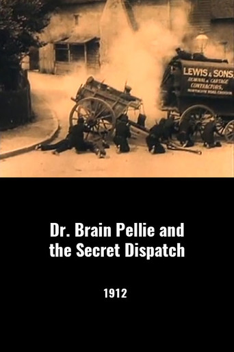 Dr. Brian Pellie and the Secret Dispatch movie poster
