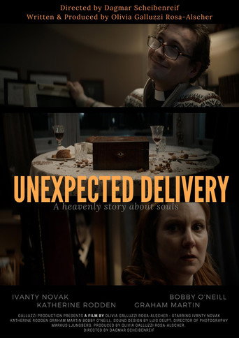 Unexpected Delivery movie poster