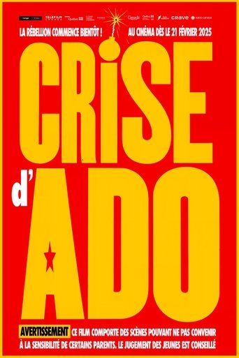 Crise d'ado movie poster