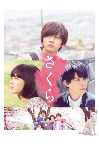 Sakura movie poster