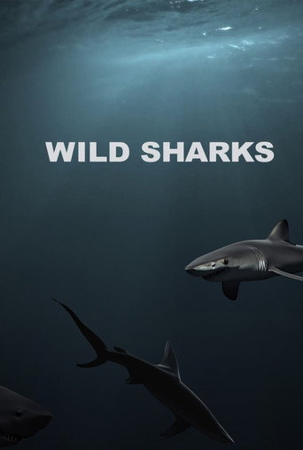 Wild Sharks movie poster