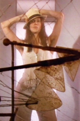 Hannah Wilke Through the Large Glass movie poster