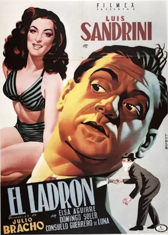 El ladrón movie poster