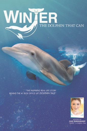 Winter, the Dolphin That Can movie poster
