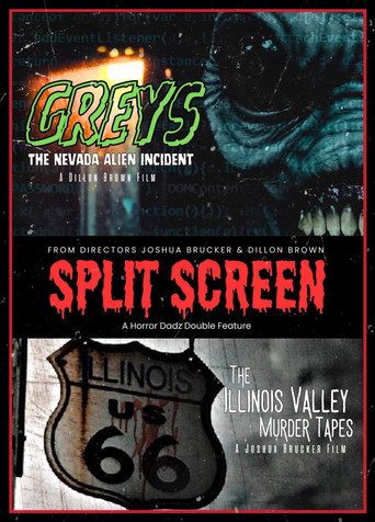Split Screen movie poster