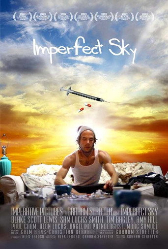 Imperfect Sky movie poster
