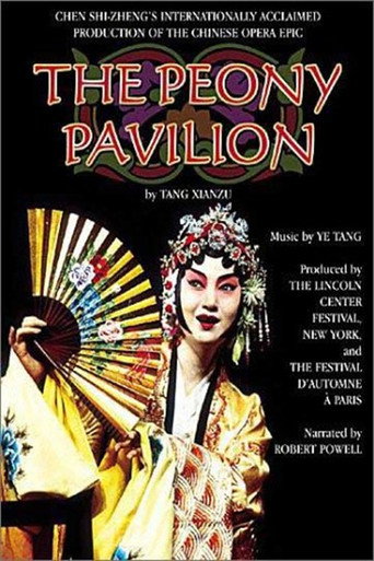 The Peony Pavilion movie poster