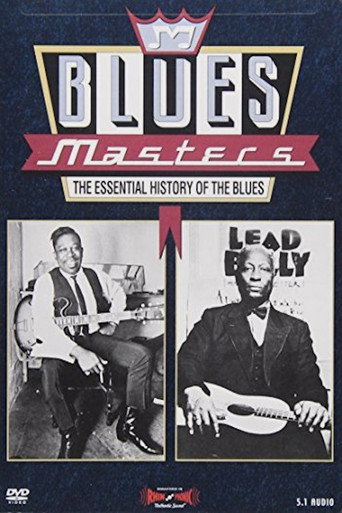 Blues Masters - The Essential History of the Blues movie poster