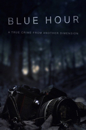 Blue Hour: The Disappearance of Nick Brandreth movie poster