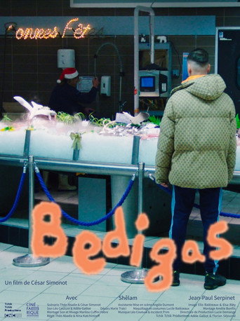 Bedigas movie poster