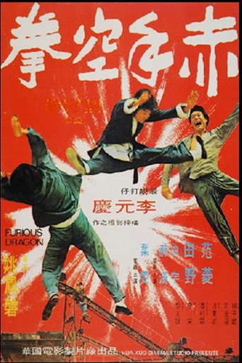 Furious Dragon movie poster
