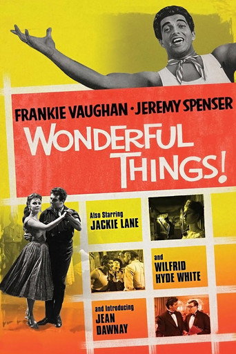 Wonderful Things movie poster