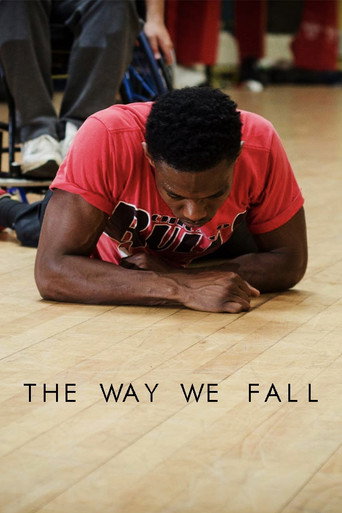 The Way We Fall movie poster