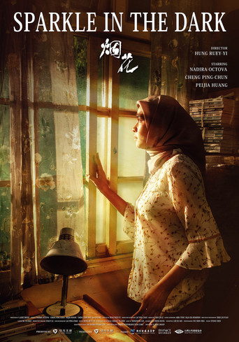 Sparkle in the Dark movie poster