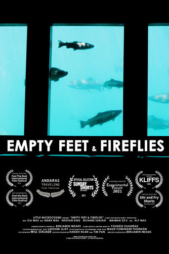 Empty Feet & Fireflies movie poster