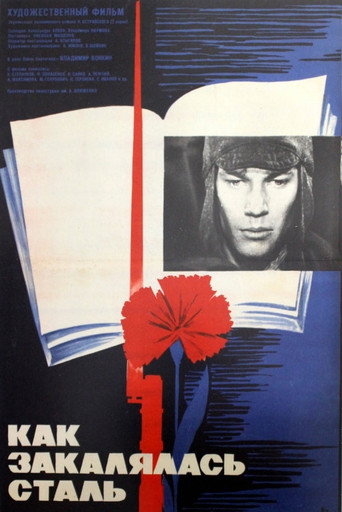 How the Steel Was Tempered movie poster