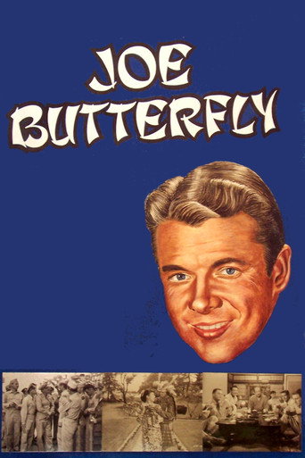 Joe Butterfly movie poster