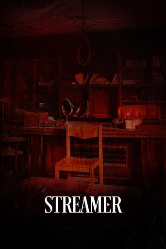 Streamer movie poster