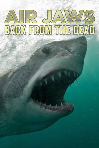 Air Jaws: Back From The Dead movie poster