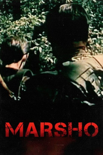 Freedom movie poster