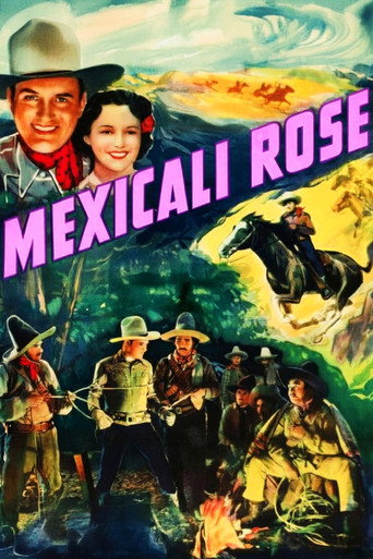 Mexicali Rose movie poster