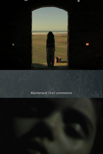 La fièvre movie poster
