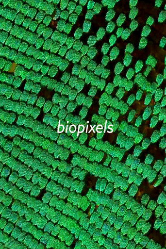biopixels movie poster