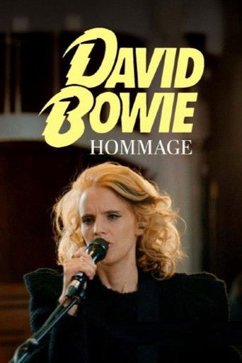 Tribute to David Bowie - Heroes Never Die movie poster