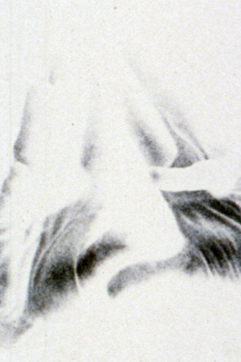 Pitchfork and the Devil movie poster