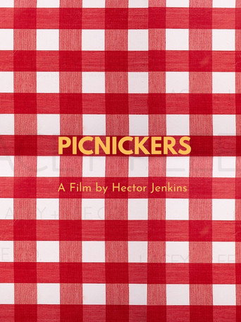 Picnickers movie poster